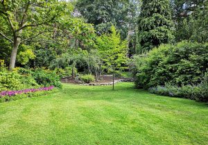 Optimiser l'expérience du jardin à Noyen-sur-Sarthe
